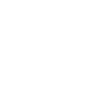 Avila Belt Company
