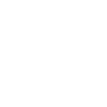 DDT Group